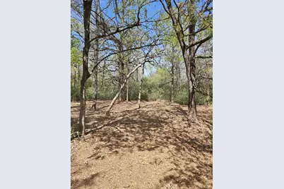 533 Lcr 721, Kosse, TX 76653 - Photo 21