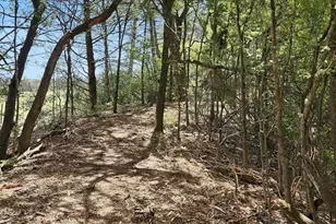 533 Lcr 721, Kosse, TX 76653 - Photo 15