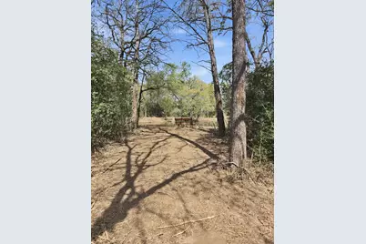 533 Lcr 721, Kosse, TX 76653 - Photo 9