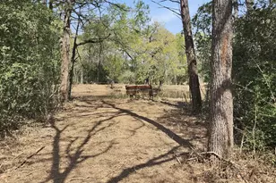 533 Lcr 721, Kosse, TX 76653 - Photo 9