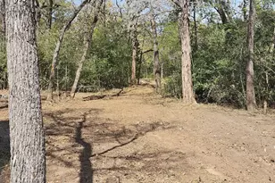 533 Lcr 721, Kosse, TX 76653 - Photo 7