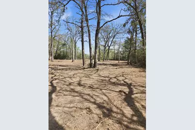 533 Lcr 721, Kosse, TX 76653 - Photo 3