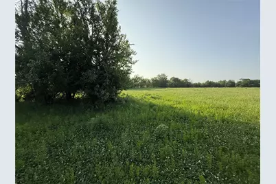 0000 Tbd N County Road 3528, Saltillo, TX 75478 - Photo 7