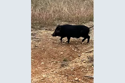 4025 County Road 175, Stephenville, TX 76401 - Photo 7