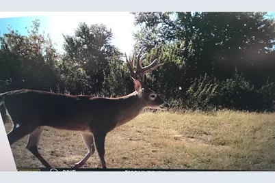 4025 County Road 175, Stephenville, TX 76401 - Photo 15