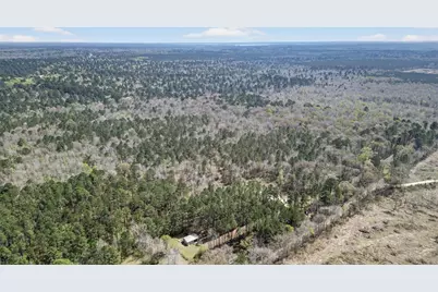 Hwy 49 County Road 3612, Jefferson, TX 75657 - Photo 7