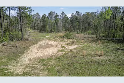 Hwy 49 County Road 3612, Jefferson, TX 75657 - Photo 13