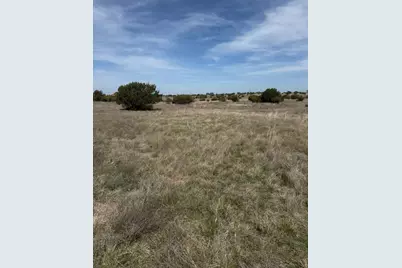 205 Gilmore Court, Lipan, TX 76462 - Photo 9