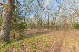 201 Rs County Rd 1399, Point, TX 75472 - Photo 29