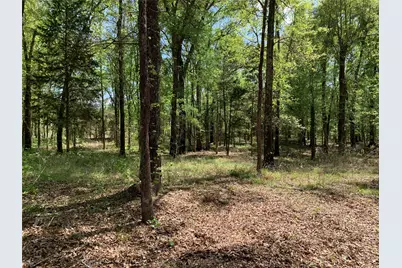 4280 County Road 3703, Athens, TX 75752 - Photo 37