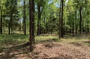 4280 County Rd 3703, Athens, TX 75752 - Photo 37