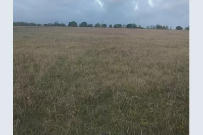 2834 St Hwy 81, Itasca, TX 76055 - Photo 5