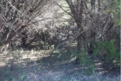 8182 Cedar Crest Drive, Whitney, TX 76692 - Photo 3