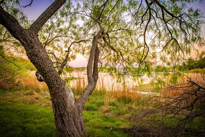 Lot 19 Firewheel, Graford, TX 76449 - Photo 9