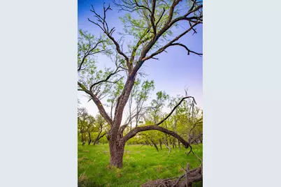 Lot 19 Firewheel, Graford, TX 76449 - Photo 15