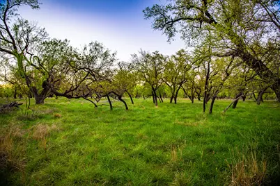 Lot 19 Firewheel, Graford, TX 76449 - Photo 25