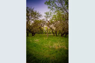 Lot 19 Firewheel, Graford, TX 76449 - Photo 21