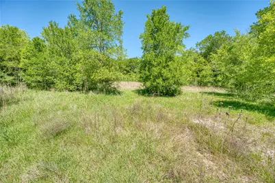 0 County Road 1036, Greenville, TX 75401 - Photo 5