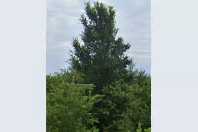 00 Fm 2450, Sanger, TX 76266 - Photo 9