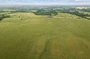 Tbd Fm 697, Whitewright, TX 75491 - Photo 1