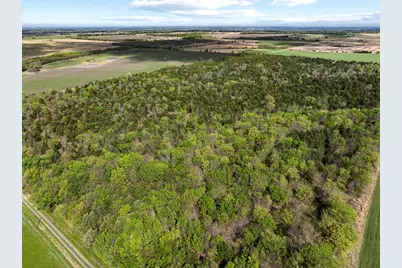 Tbd County Road 3230, Ben Franklin, TX 75415 - Photo 17