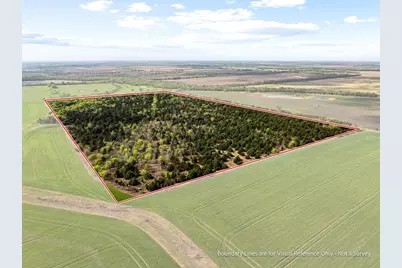 Tbd County Road 3230, Ben Franklin, TX 75415 - Photo 19