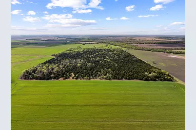 Tbd County Road 3230, Ben Franklin, TX 75415 - Photo 11