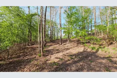 1132 County Road 4470, Winnsboro, TX 75494 - Photo 39
