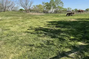 394 Emerald Glenn Ln, Pilot Point, TX 76258 - Photo 29