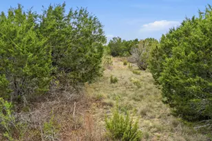 Tr956 Majestic Shores, Bluff Dale, TX 76433 - Photo 1