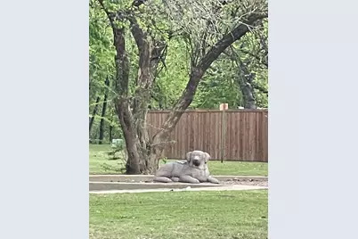 313 Westwood Drive, Rockwall, TX 75032 - Photo 5