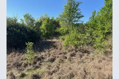 207 Morning Dove Court, Cresson, TX 76035 - Photo 9