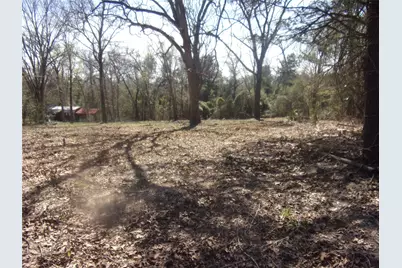 Tbd Broad Meadow, Murchison, TX 75778 - Photo 3