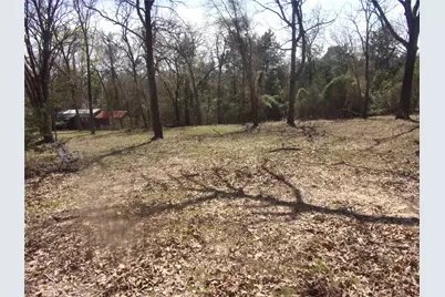 Tbd Broad Meadow, Murchison, TX 75778 - Photo 5