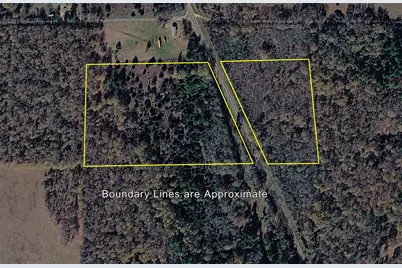 Tbd Fm 542, Oakwood, TX 75855 - Photo 9