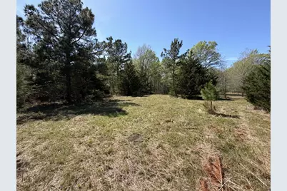 Tbd Fm 542, Oakwood, TX 75855 - Photo 1