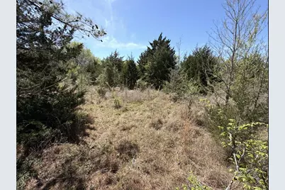 Tbd Fm 542, Oakwood, TX 75855 - Photo 7
