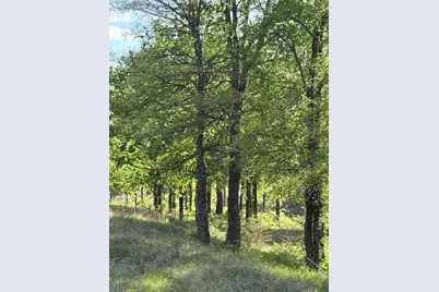 Tbd Whitetail Springs Lane, Gustine, TX 76455 - Photo 7