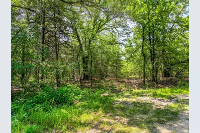 Na County Road 3306, Greenville, TX 75402 - Photo 11