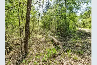 Na County Road 3306, Greenville, TX 75402 - Photo 9