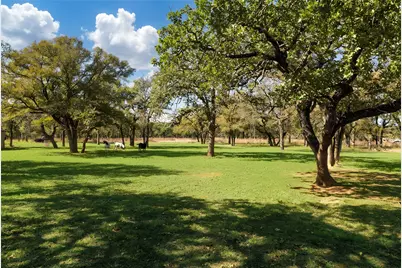 970 Live Oak Road, Santo, TX 76472 - Photo 5