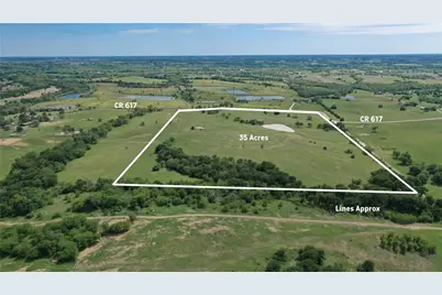35 Acres County Road 617, Farmersville, TX 75442 - Photo 1