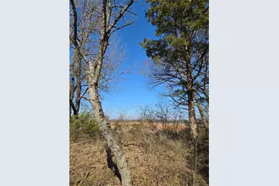 Tbd County Road 4612, Sulphur Springs, TX 75482 - Photo 9