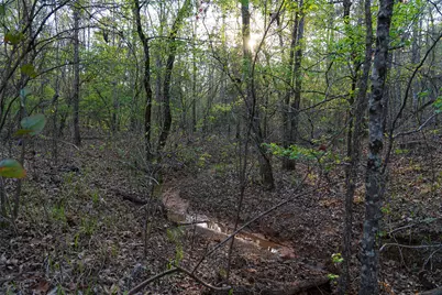 923 W Main St, Ore City, TX 75683 - Photo 7