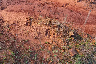 923 W Main St, Ore City, TX 75683 - Photo 13