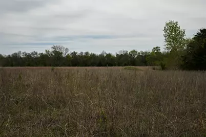 1997 County Road 655, Farmersville, TX 75442 - Photo 9