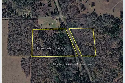 Tract 2 Fm 542, Oakwood, TX 75855 - Photo 9