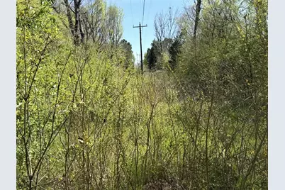 Tract 2 Fm 542, Oakwood, TX 75855 - Photo 7