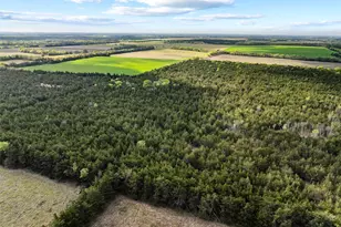 Tbd Fm 198, Cooper, TX 75432 - Photo 1