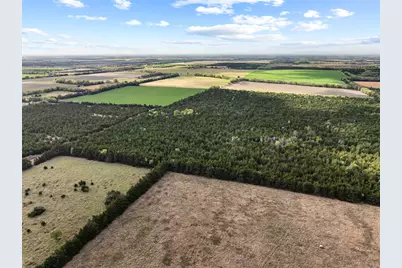 Tbd Fm 198, Cooper, TX 75432 - Photo 5